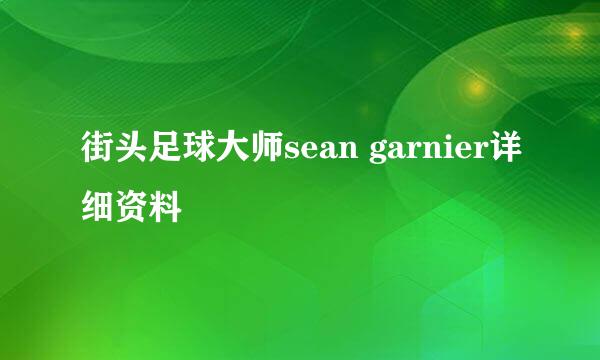 街头足球大师sean garnier详细资料