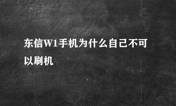 东信W1手机为什么自己不可以刷机