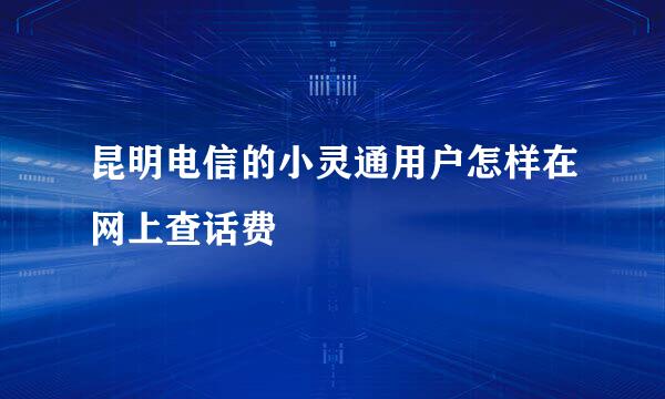 昆明电信的小灵通用户怎样在网上查话费