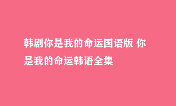 韩剧你是我的命运国语版 你是我的命运韩语全集