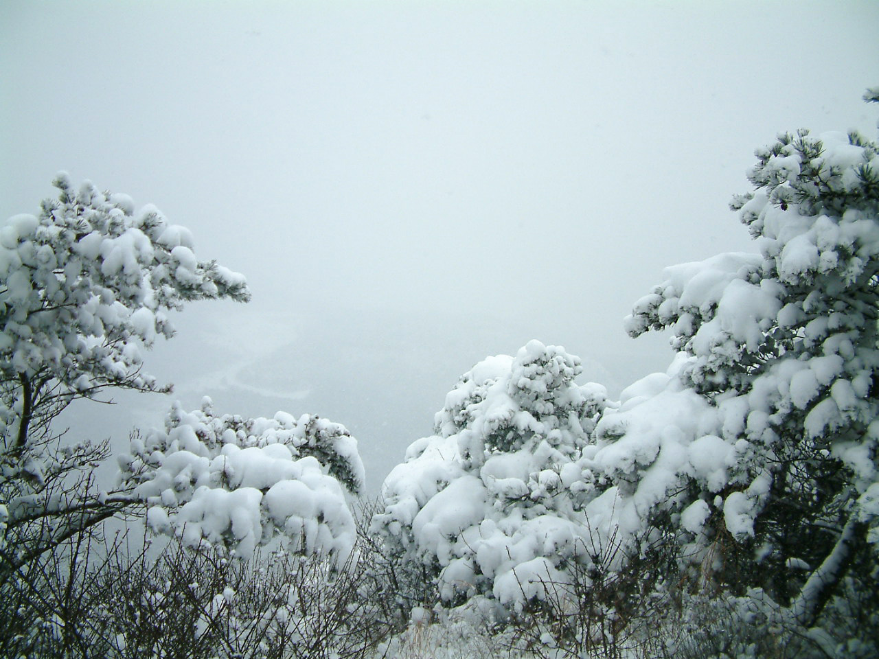 东北大暴雪又来了，会给当地的经济发展带来哪些影响？