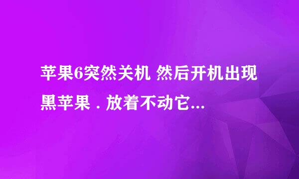 苹果6突然关机 然后开机出现黑苹果 . 放着不动它开机又得了 反反复复这样