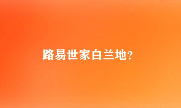 路易世家白兰地？