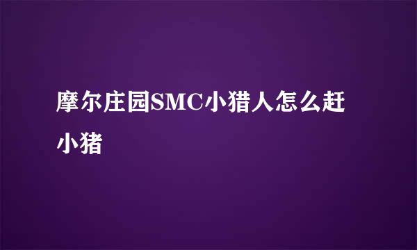 摩尔庄园SMC小猎人怎么赶小猪