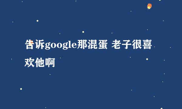 告诉google那混蛋 老子很喜欢他啊