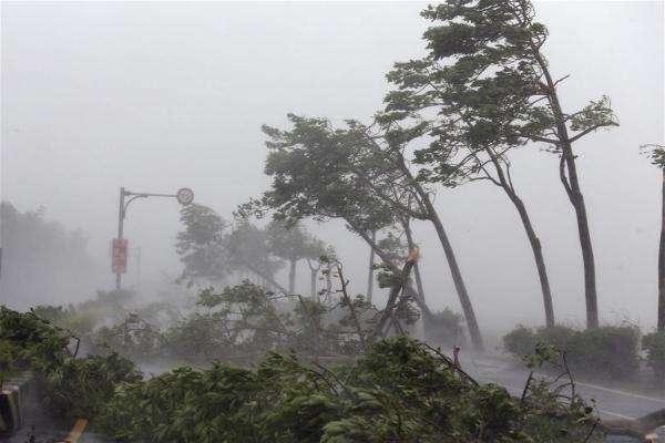 今年第12号台风“梅花”生成，是否会影响到我国？