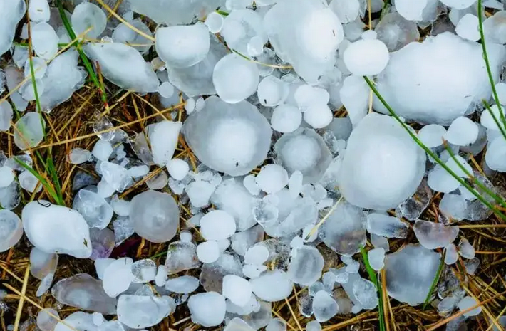 安岳突现狂风暴雨和鸽子蛋大小冰雹，冰雹砸下来的“杀伤力”有多强？