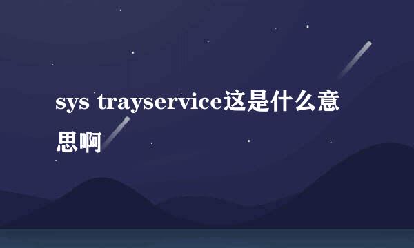 sys trayservice这是什么意思啊