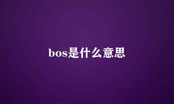 bos是什么意思