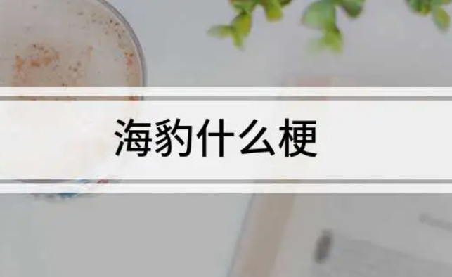 海豹是什么意思