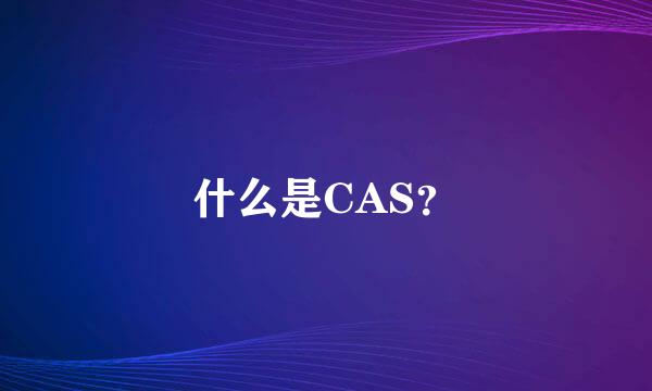 什么是CAS？