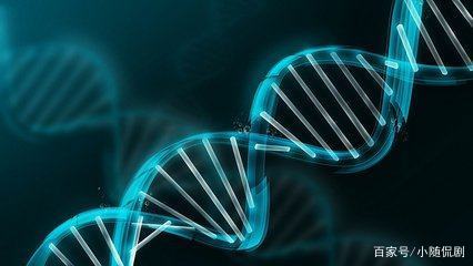 什么是DNA？地球生命的DNA到底从何而来？