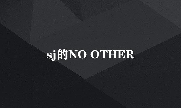 sj的NO OTHER