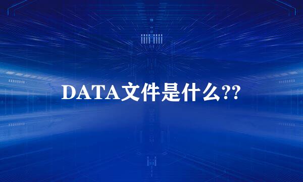 DATA文件是什么??