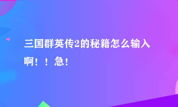 三国群英传2的秘籍怎么输入啊！！急！