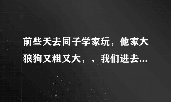 前些天去同子学家玩，他家大狼狗又粗又大，，我们进去后就旺旺咬，，咬的嘴里流口水那么多，眼都红了，，要