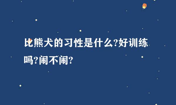 比熊犬的习性是什么?好训练吗?闹不闹?