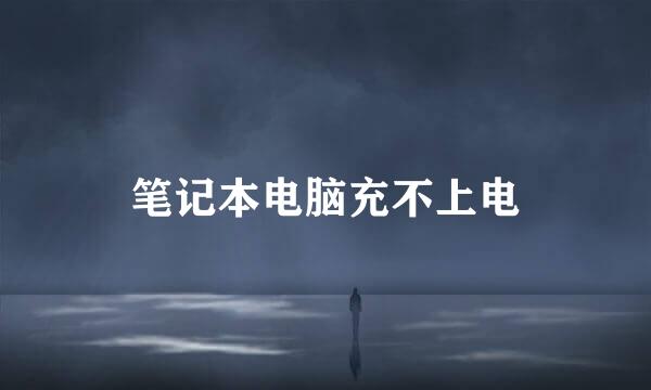 笔记本电脑充不上电