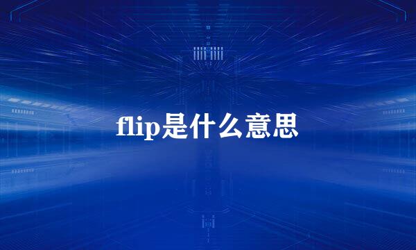 flip是什么意思