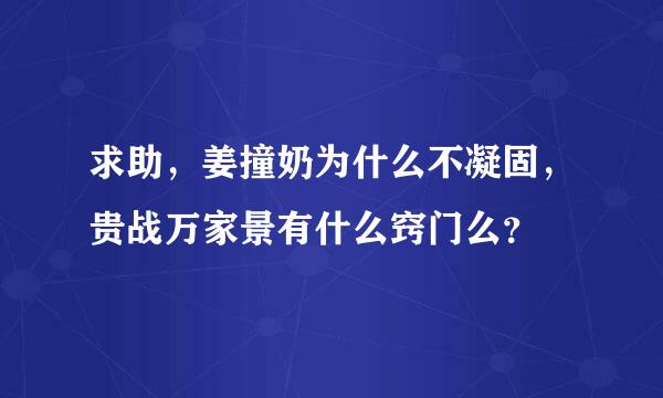 求助，姜撞奶为什么不凝固，贵战万家景有什么窍门么？