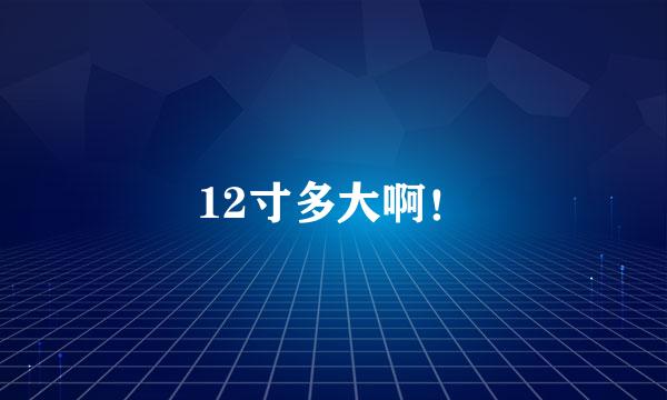 12寸多大啊！