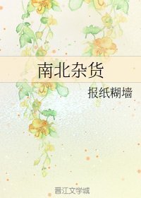 求南北杂货全文百度云，作者是报纸糊墙，谢谢来自。