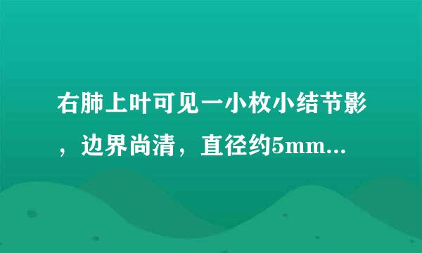 右肺上叶可见一小枚小结节影，边界尚清，直径约5mm.余肺纹理增多，肺门结构正常