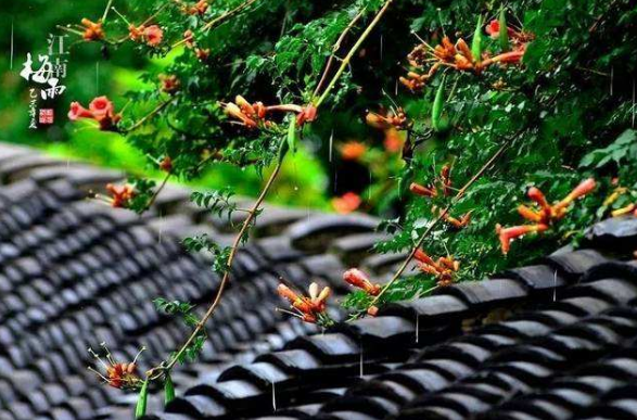 请问梅雨季节是几图不月到几月呢？