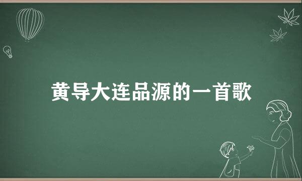 黄导大连品源的一首歌