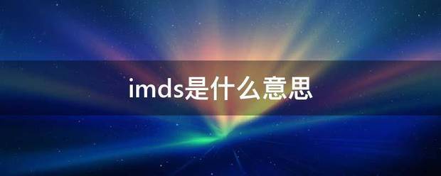 imds是什么意思