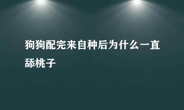 狗狗配完来自种后为什么一直舔桃子