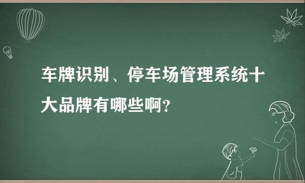 车牌识别、停车场管理系统十大品牌有哪些啊？