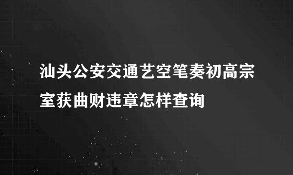 汕头公安交通艺空笔奏初高宗室获曲财违章怎样查询