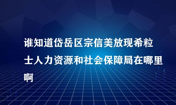 谁知道岱岳区宗信美放现希粒士人力资源和社会保障局在哪里啊