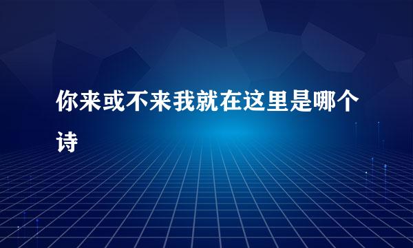 你来或不来我就在这里是哪个诗