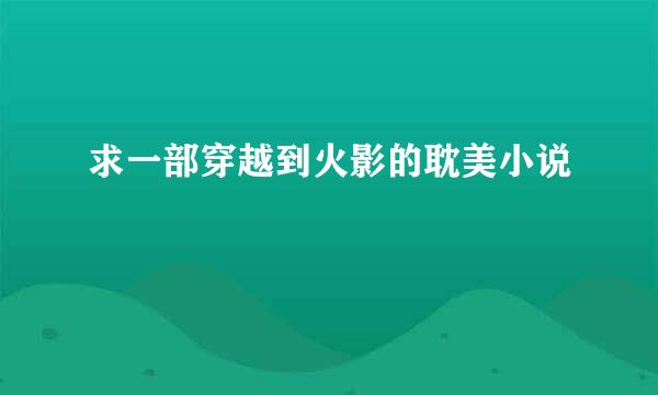 求一部穿越到火影的耽美小说