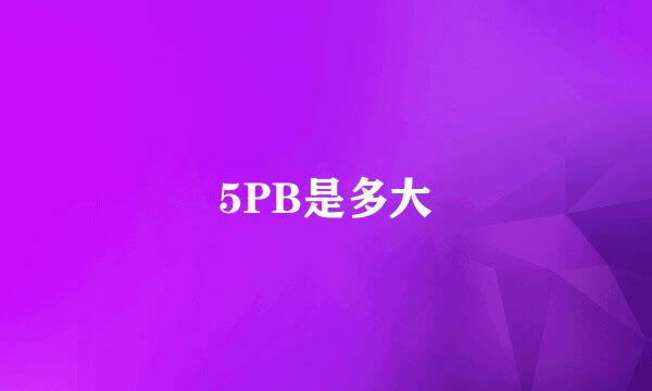 5PB是多大