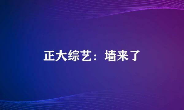 正大综艺：墙来了