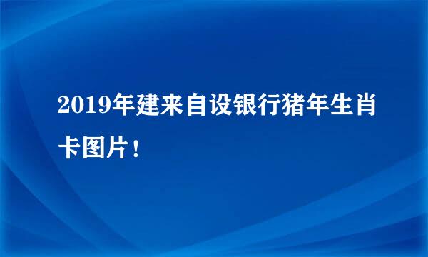 2019年建来自设银行猪年生肖卡图片！