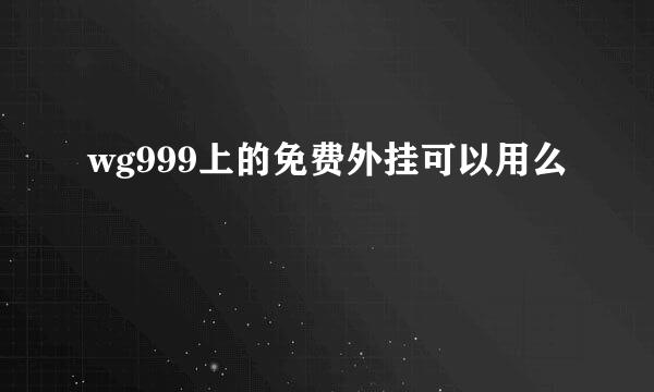 wg999上的免费外挂可以用么