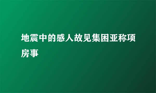 地震中的感人故见集困亚称项房事