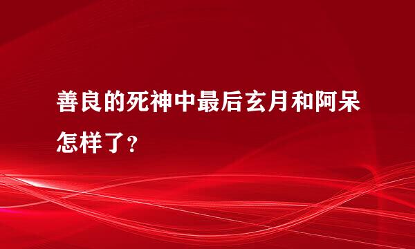 善良的死神中最后玄月和阿呆怎样了？