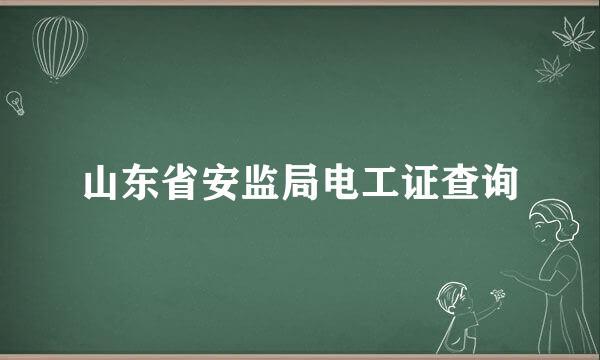 山东省安监局电工证查询