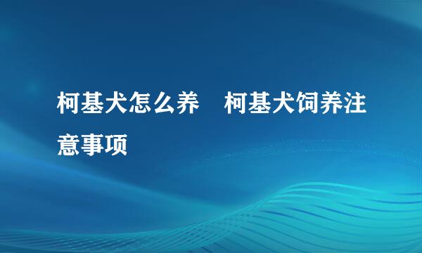 柯基犬怎么养 柯基犬饲养注意事项