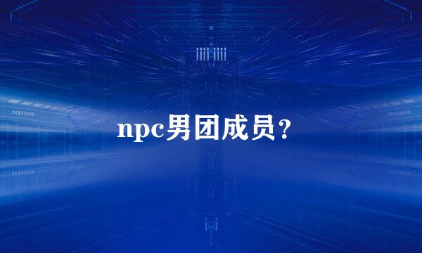 npc男团成员？