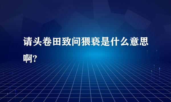 请头卷田致问猥亵是什么意思啊?