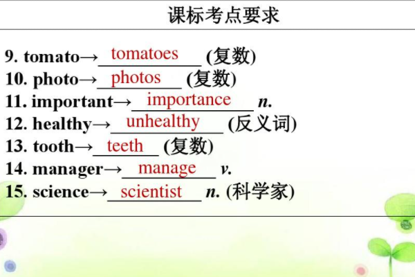 photo的复数形式是什么