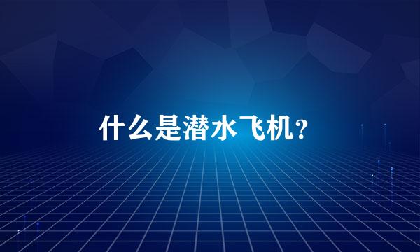 什么是潜水飞机？