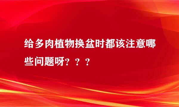 给多肉植物换盆时都该注意哪些问题呀？？？