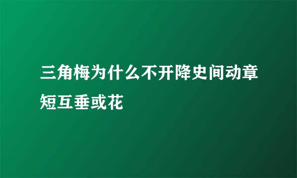 三角梅为什么不开降史间动章短互垂或花